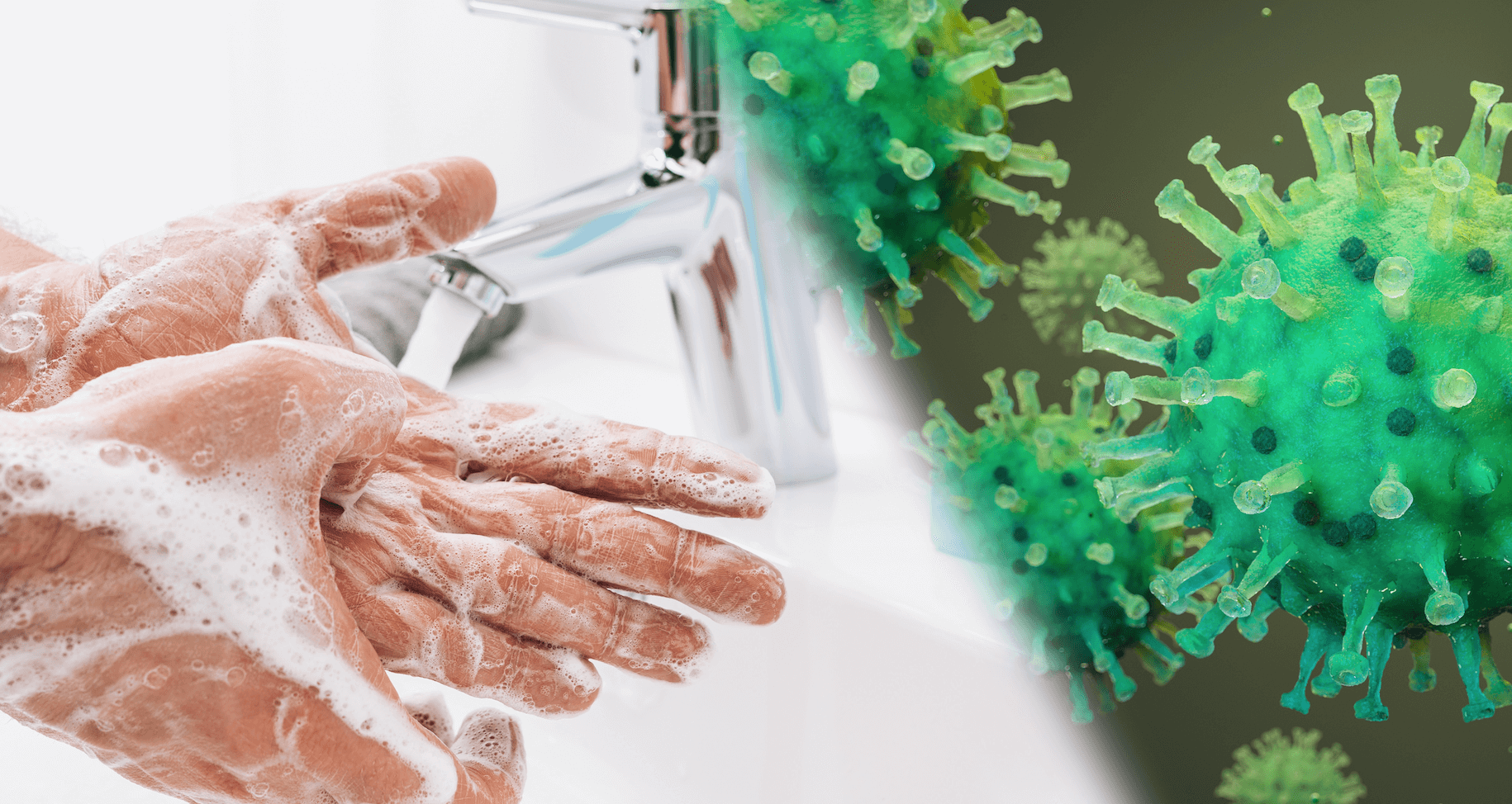 Gebäudereinigung Corona